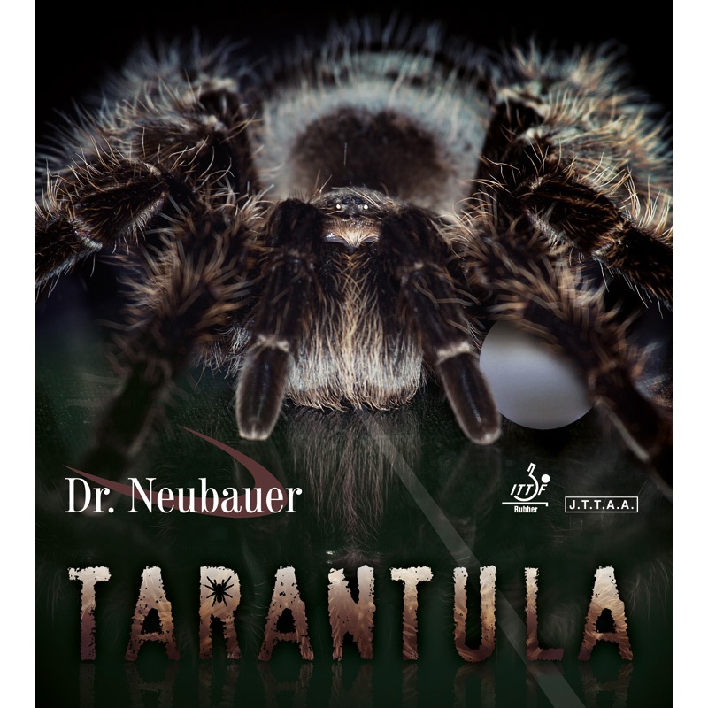 タランチュラ（TARANTULA)