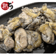 �ڿ��Ǻܡۡڶ�̳�ѡۿƷܸ����쥢ú�оƤ��ʿƷ�/��)1kg ����