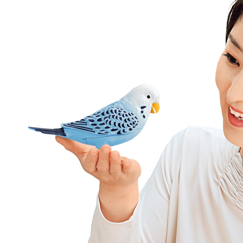 毎日おしゃべりインコちゃん - 熟年時代社 | すべての商品 | 熟年時代