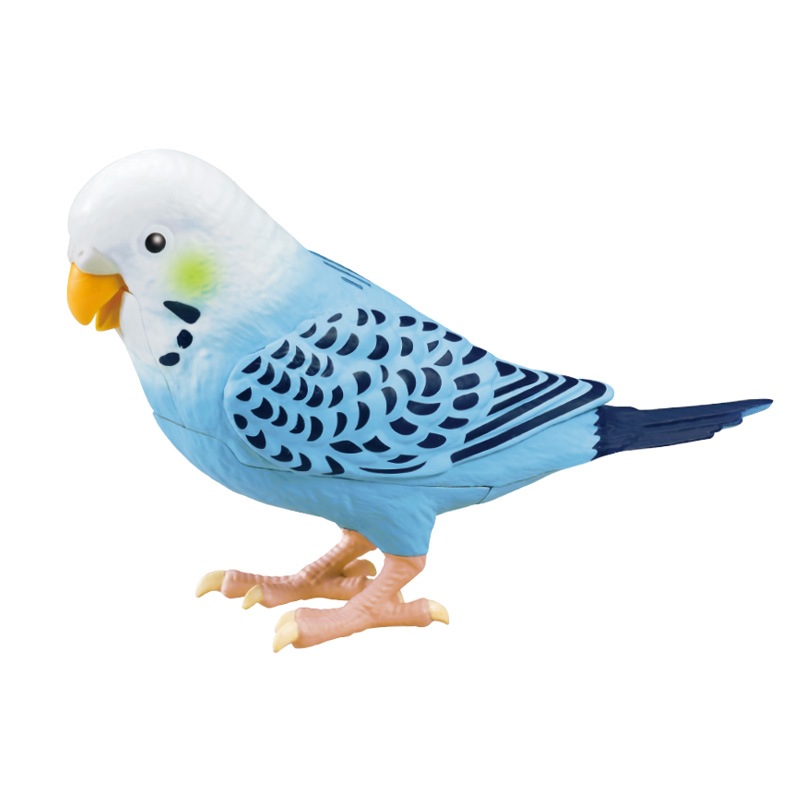 毎日おしゃべりインコちゃん - 熟年時代社 | すべての商品 | 熟年時代