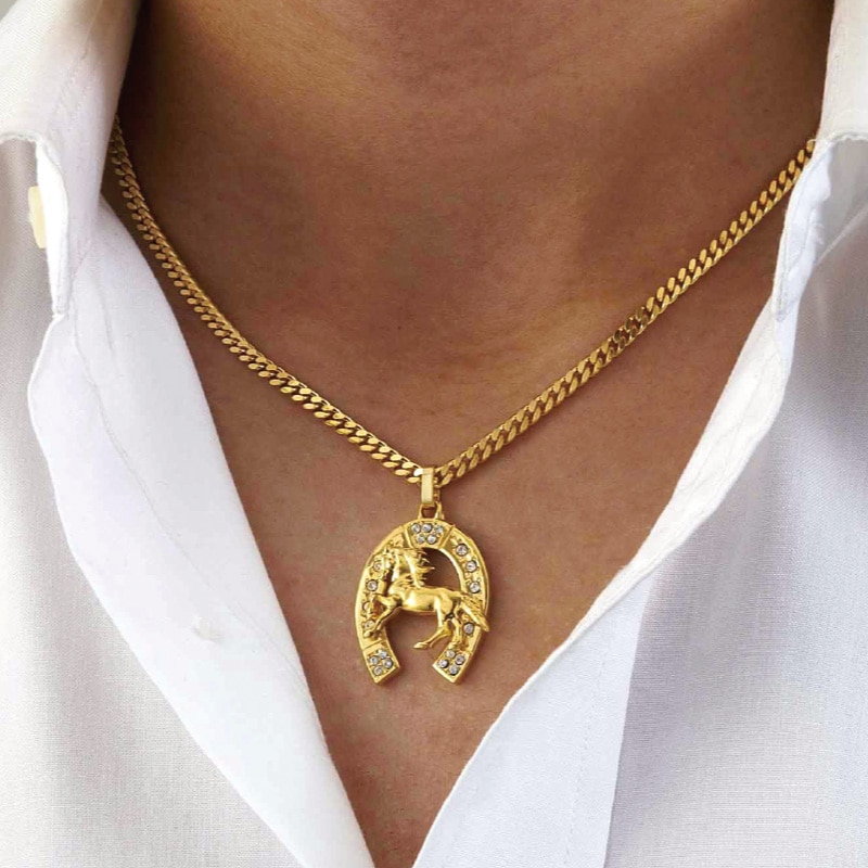 メンズ駿馬 蹄鉄磁気ネックレス - 熟年時代社 | 健康管理機器 | 熟年