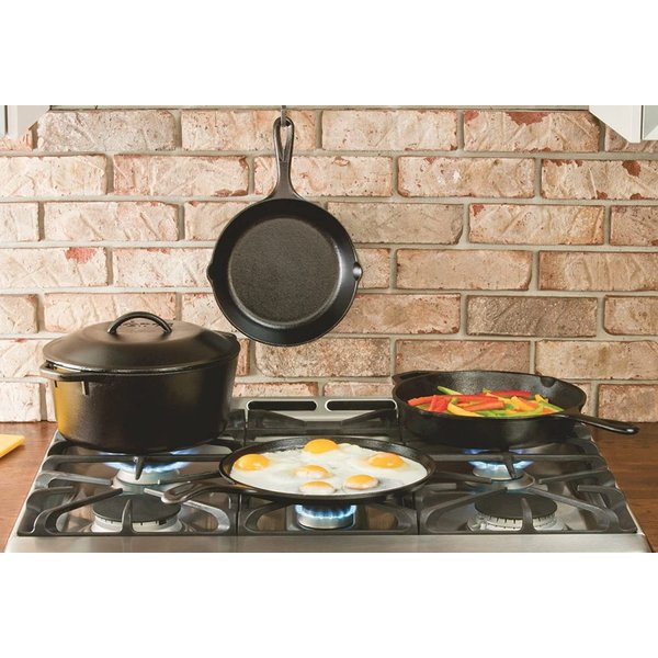 LODGE(ロッジ) プロロジック ピザパン　14インチ　P14P3 wwzq1cm Lodge P14P3 14-Inch Pro Logic Cast-Iron Pizza Pan (Black) : Amazon