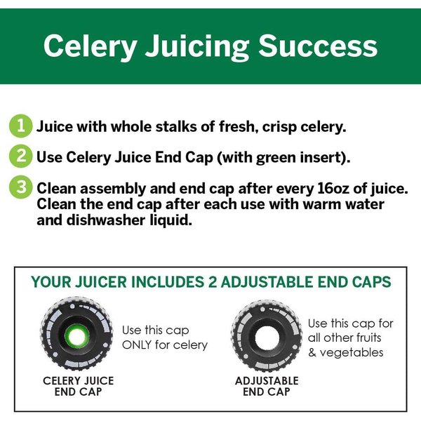 2020年 ジューサー トリックスター / Ninja ZX-25R(21-24)/ZX-4R SE(24-26