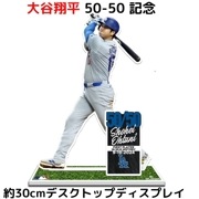 ��ë��ʿ 50-50��ǰ ������ �ڥХå�����ë�� �ץ쥤�䡼������ǥ� �ǥ����ȥå� �ǥ����ץ쥤 ��30cm 50������ 50���� ã����ǰ��