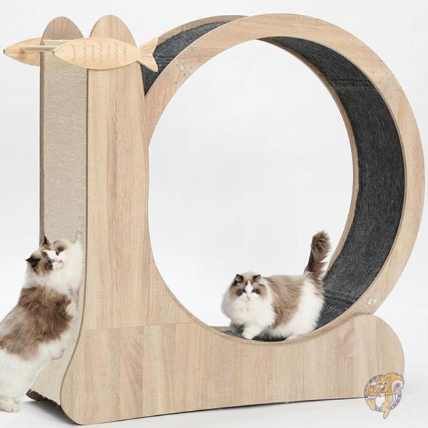 新品未使用品　キャットホイール 猫用おもちゃ キャットホイール 3-in-1 猫エクササイズ ペット用品 1