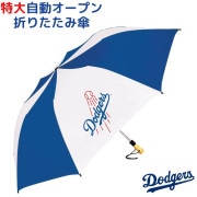 ���� �����󥼥륹�ɥ��㡼�� �ޤꤿ���߻� �����׼� �礭�������� �ޤ���߻�  Los Angeles Dodgers MLB����jya