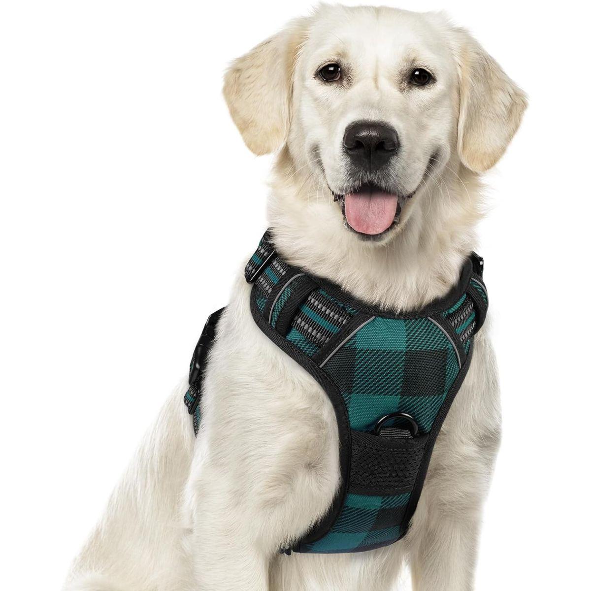 rabbitgoo 犬用ハーネス 大型犬用 引っ張り不要 調節可能な犬用ウォーキングベストハーネス リーシュクリップ2個付き  ｜アメリカキッチン輸入プロ 調理家電 キッチン雑貨 アウトドア エッセンシャル 犬用ハーネス 3つのリーシュクリップ付き - 引っ張らない、調節可能、快適なペットベストハーネス 小型犬から大型犬用