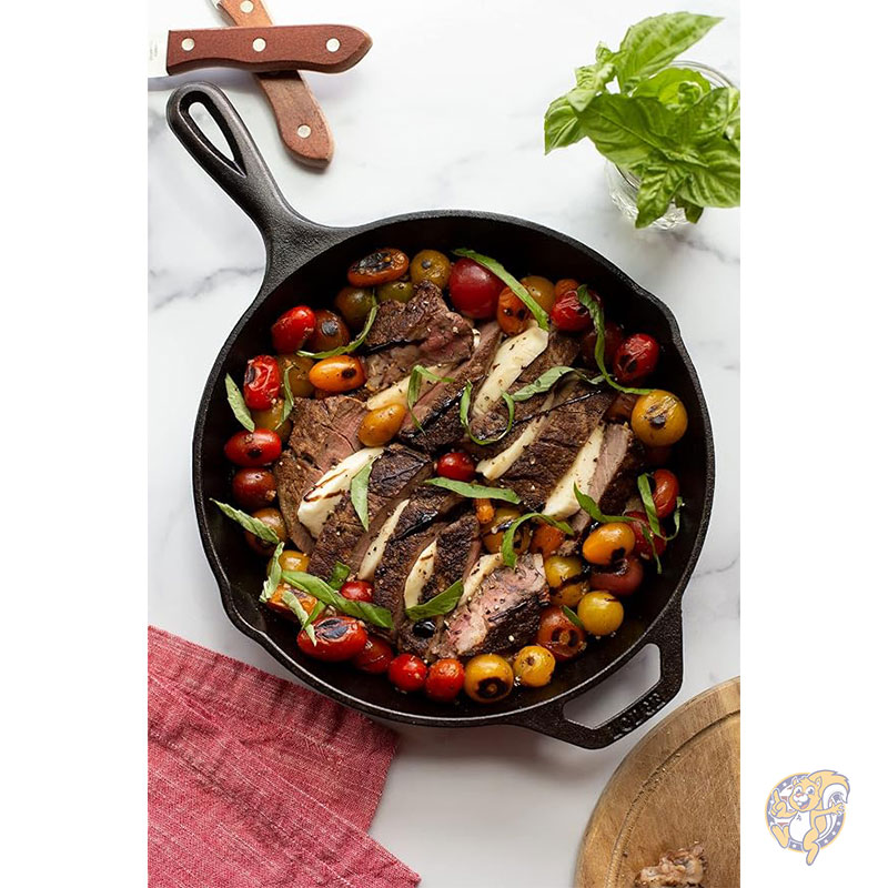 ロッジ Lodge プレシーズニング 鋳鉄フライパンセット 20cm フライパン