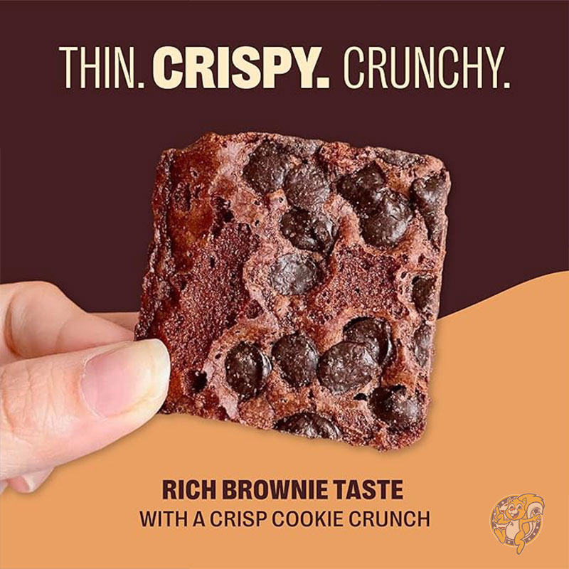brunt チャーリー 3.8ℓケース チョコチップ