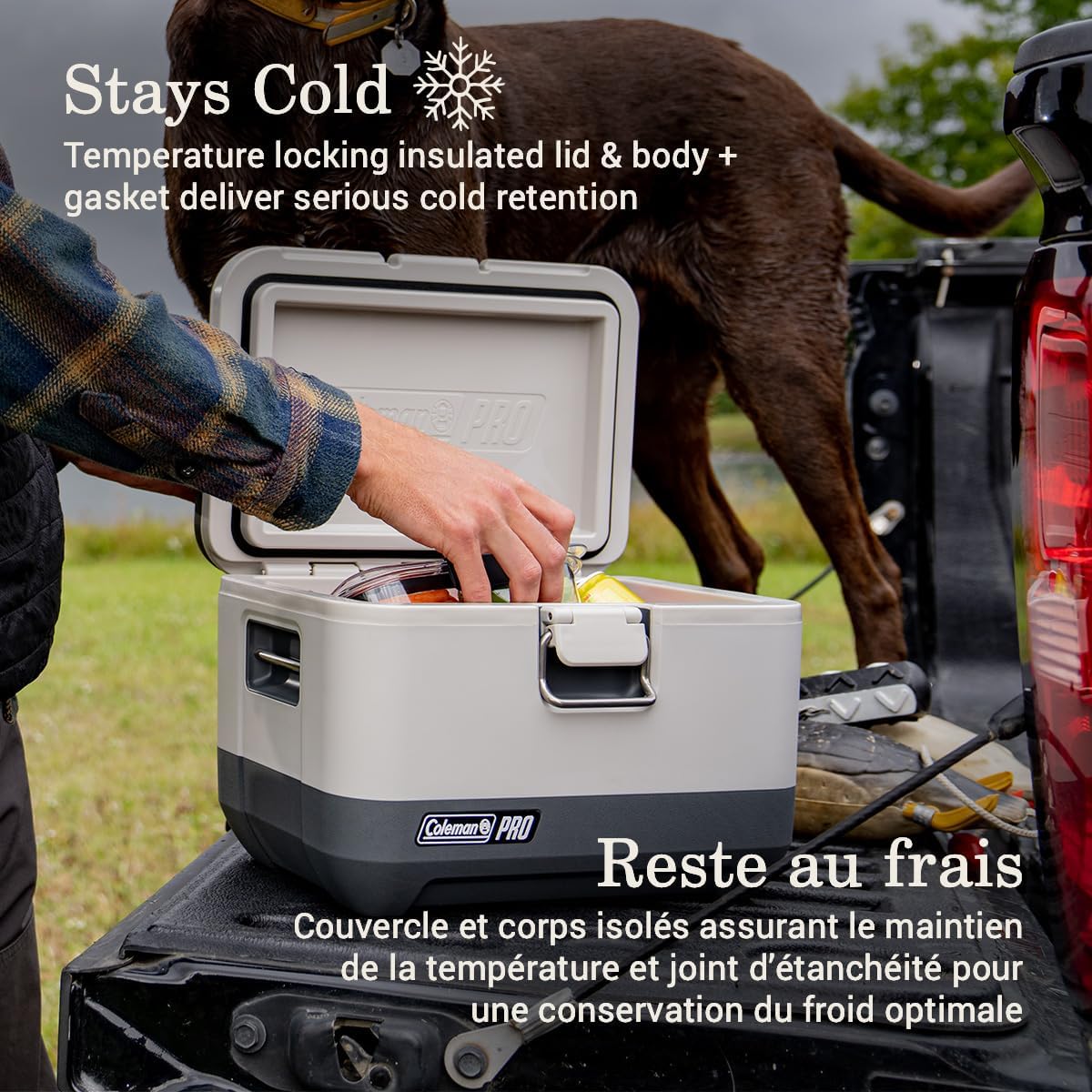 Coleman Pro ������ޥ� �ץ� �����顼�ܥå��� �ݡ����֥� �����顼 ��Ǯ ���� 9��������/��8.5L