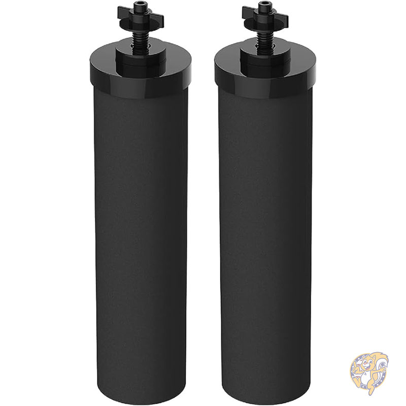 NSF/ANSI 42&37242&372 ǧ���ե��륿�� Berkey BB9-2 �֥�å������������ �С����� ���ϥե��륿�������ƥ���� 2 �ĥѥå� Filterlogic �ե��륿�������å�