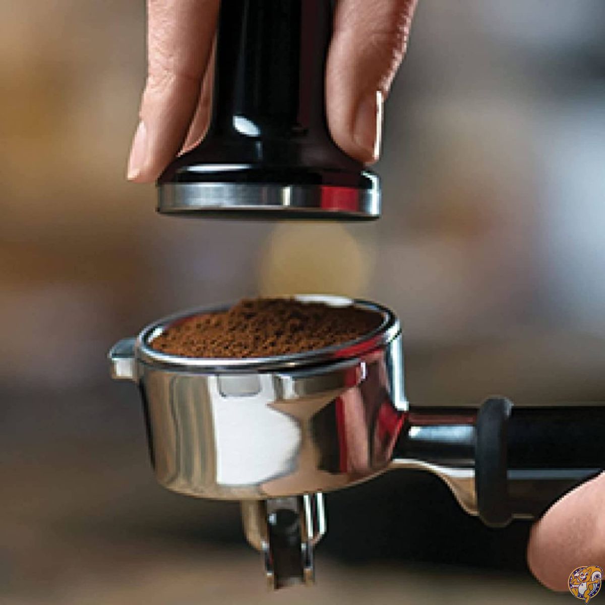 Breville BES878 Barista Pro Espresso Machine, Black Truffle �����ץ�å��ޥ����� [�¹�͢����]