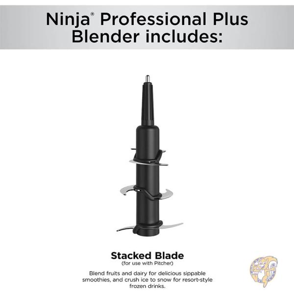 Ninja �˥󥸥� ���å������� Ĵ����� �֥����� ���������졼 BN701