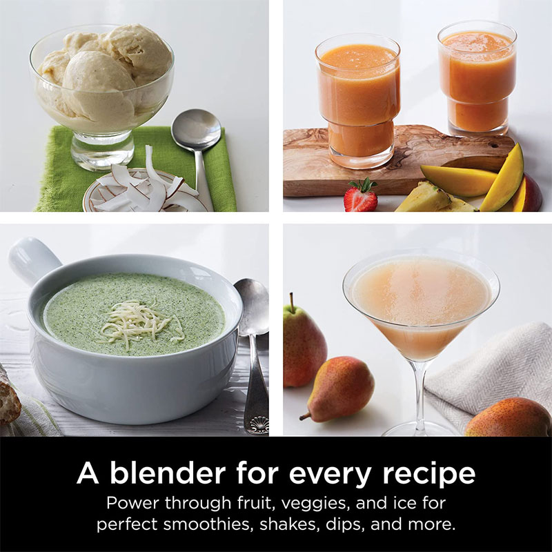 �˥󥸥� Ninja �֥����� Professional Blender ���塼���� �ߥ����� ���ࡼ�����᡼���� 1000 BL610 ����ꥫ���å������