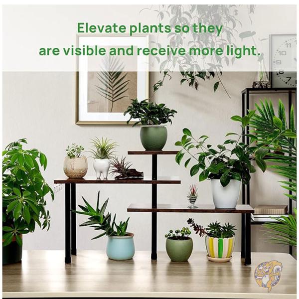 ���å��󥫥��󥿡�������� 3�ʥ����ʡ�������� ���ѥ�����å� �եå��դ� Ollieroo ���ꥨ�롼