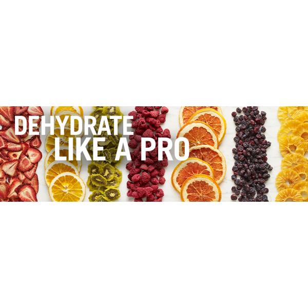 Excalibur С ʴ絡 աɥɥ饤䡼 ǥϥɥ졼 աɥǥϥɥ졼 ɥ饤ե롼ġ3900B