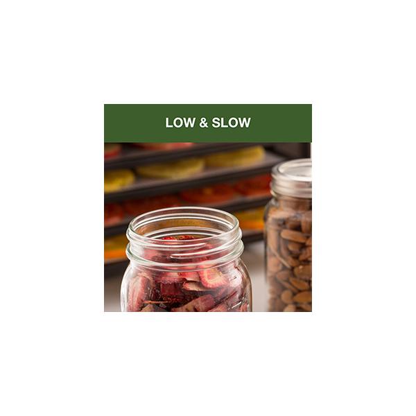 Excalibur С ʴ絡 աɥɥ饤䡼 ǥϥɥ졼 աɥǥϥɥ졼 ɥ饤ե롼ġ3900B