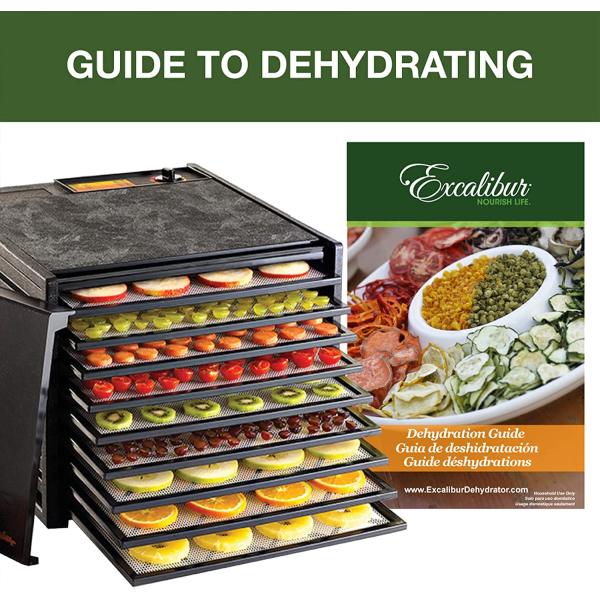 Excalibur С ʴ絡 աɥɥ饤䡼 ǥϥɥ졼 աɥǥϥɥ졼 ɥ饤ե롼ġ3900B