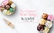 ���������꡼��᡼���� Elite Gourmet �������᡼���� ������