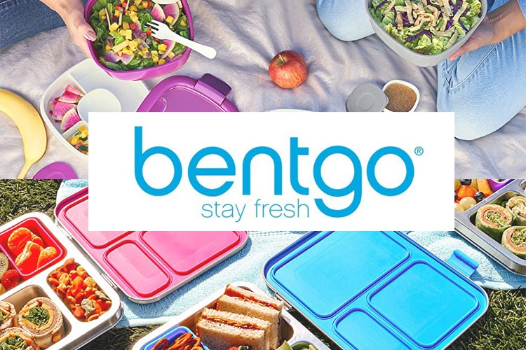 �٥�ȥ��� ����������ܥå��� Bentgo ������Ȣ ����� ����ƥʡ� Coastal Aqua