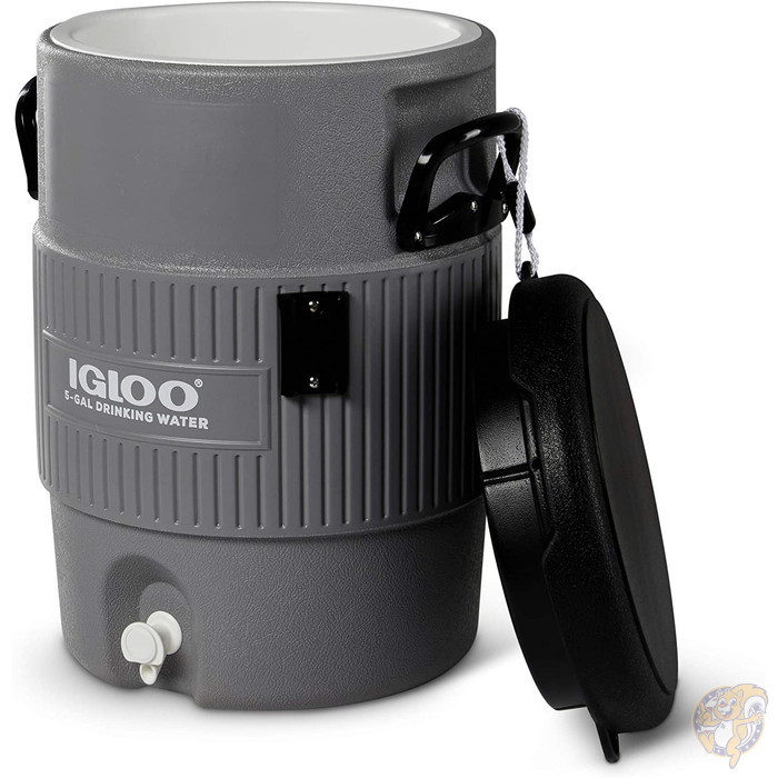 �����롼 �إӡ��ǥ塼�ƥ��� �����������ǥ����ڥ󥵡� Igloo �������������㥰