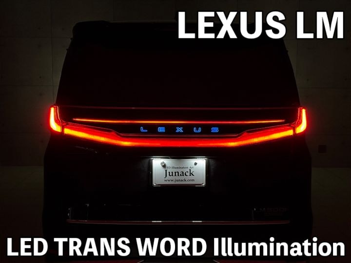 レクサス❣️ Genuine Lexus Japan 2016-2021 LX Factory Painted Door Edge