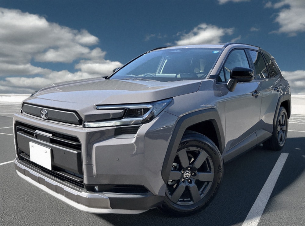 LEDISTカーゴランプ　TOYOTA / RAV4