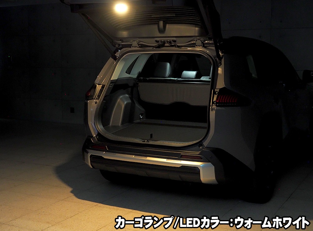 LEDISTカーゴランプ　TOYOTA / RAV4
