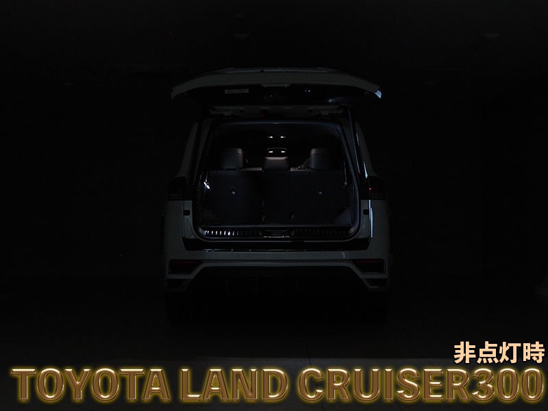 LEDISTカーゴランプ　TOYOTA / ランドクルーザー300