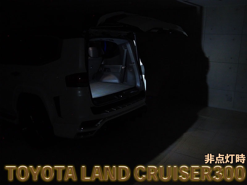 LEDISTカーゴランプ　TOYOTA / ランドクルーザー300