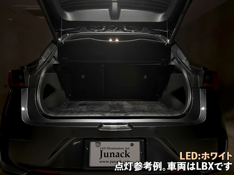 LEDISTカーゴランプ　TOYOTA / ランドクルーザー250