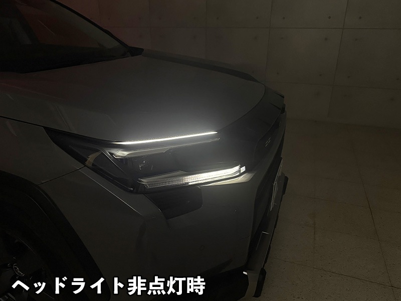 LEDZARD アイブロウイルミネーション for RAV4【LZR-EB-T2#】