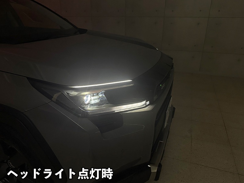 LEDZARD アイブロウイルミネーション for RAV4【LZR-EB-T2#】