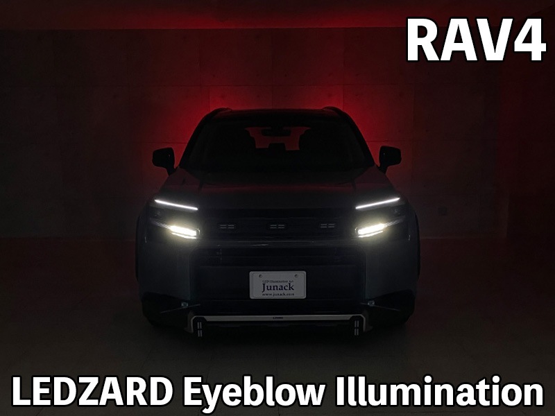 LEDZARD アイブロウイルミネーション for RAV4【LZR-EB-T2#】