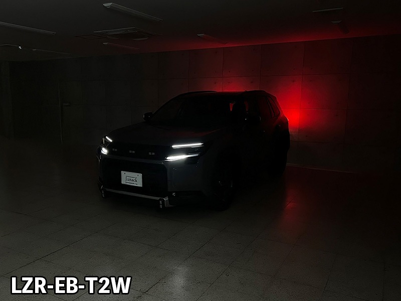 LEDZARD アイブロウイルミネーション for RAV4【LZR-EB-T2#】