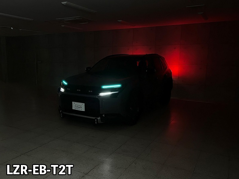 LEDZARD アイブロウイルミネーション for RAV4【LZR-EB-T2#】