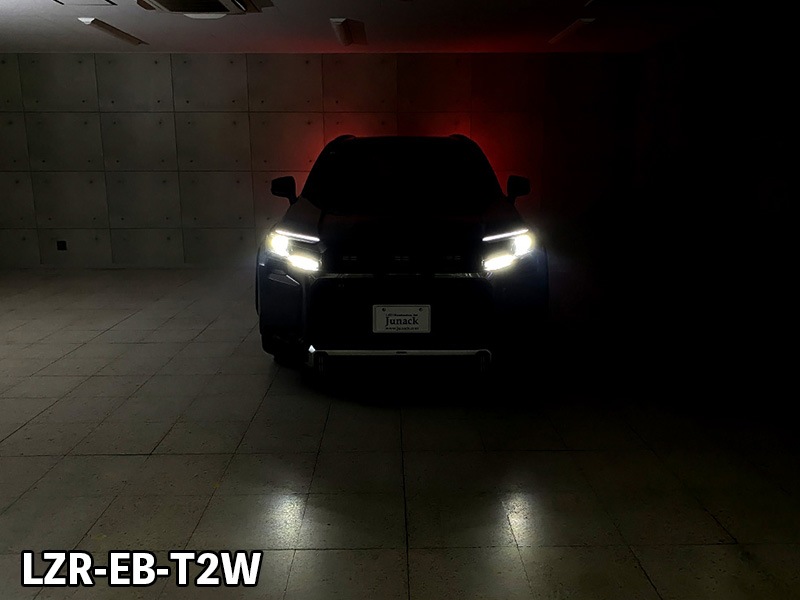 LEDZARD アイブロウイルミネーション for RAV4【LZR-EB-T2#】