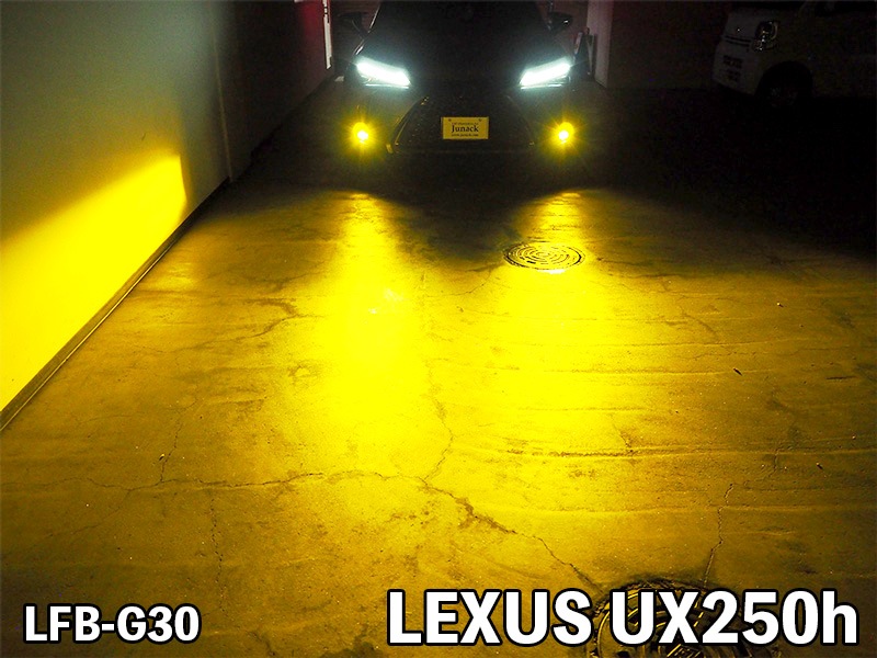 LEDIST GR レディスト・ジーアール イエロー【LFB-G30】