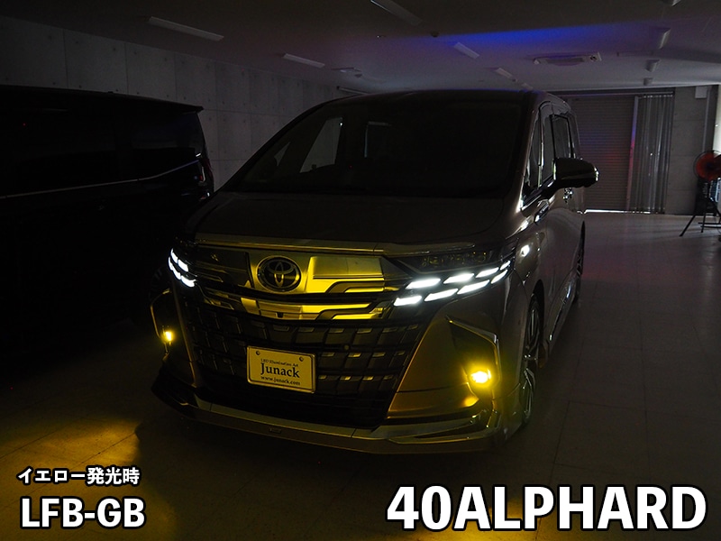 LEDIST GR-B レディスト・ジーアールビー バイカラー【LFB-GB】