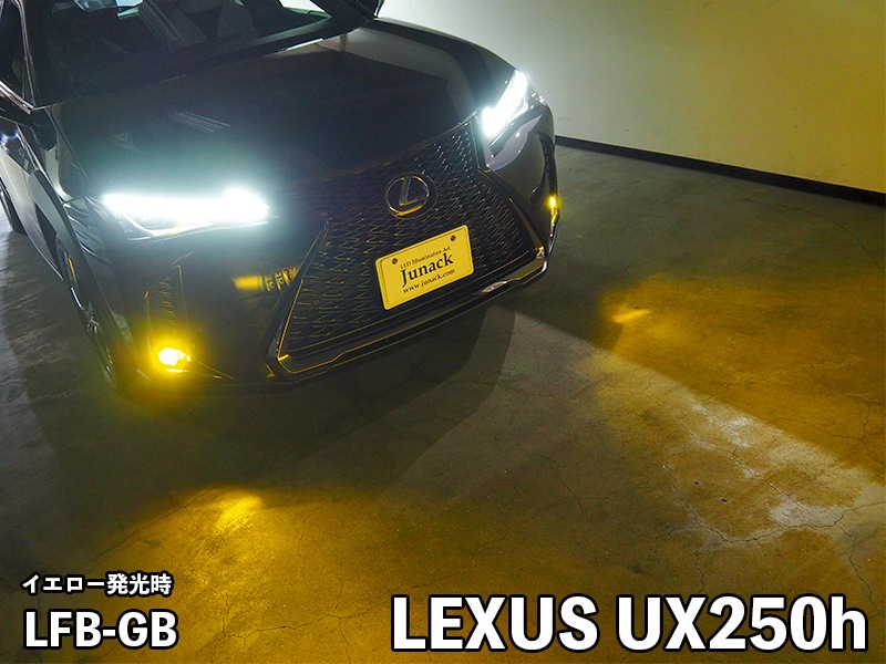 LEDIST GR-B レディスト・ジーアールビー バイカラー【LFB-GB】