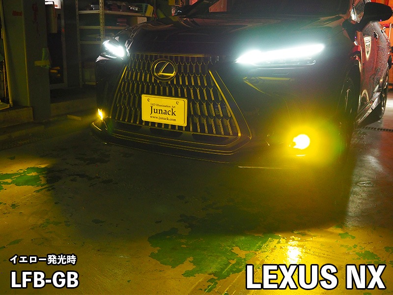 LEDIST GR-B レディスト・ジーアールビー バイカラー【LFB-GB】