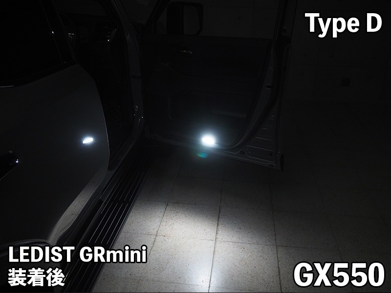 LEDIST GR mini【TypeD】LGM-D1 GX550