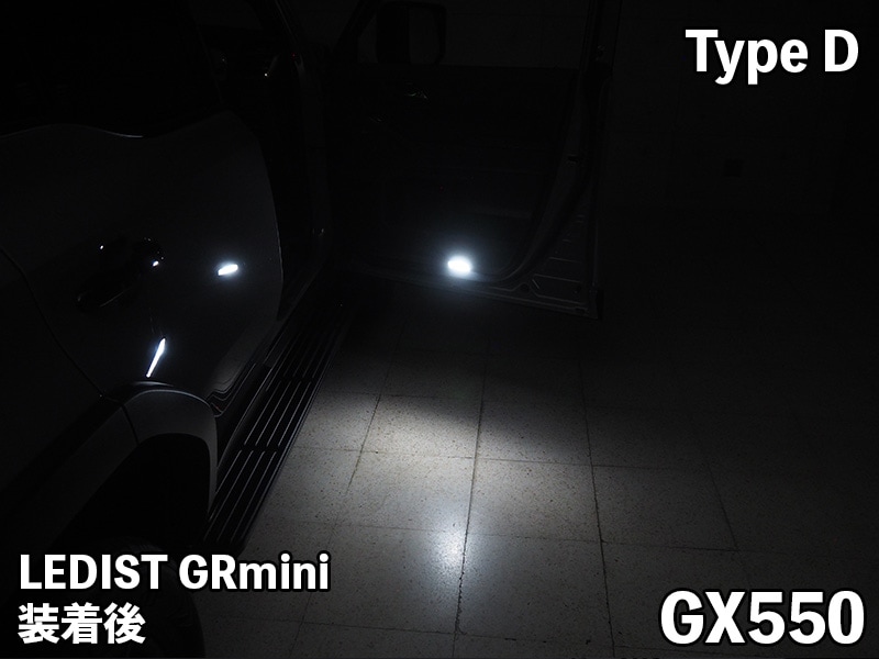 LEDIST GR mini【TypeD】LGM-D1 GX550