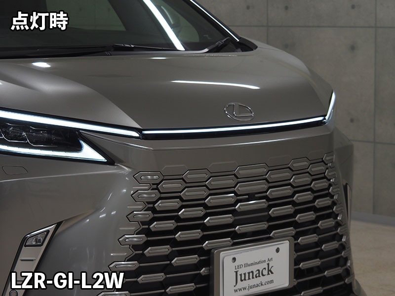 LEDZARD グリルイルミネーション for レクサス LM【LZR-GI-L2W】