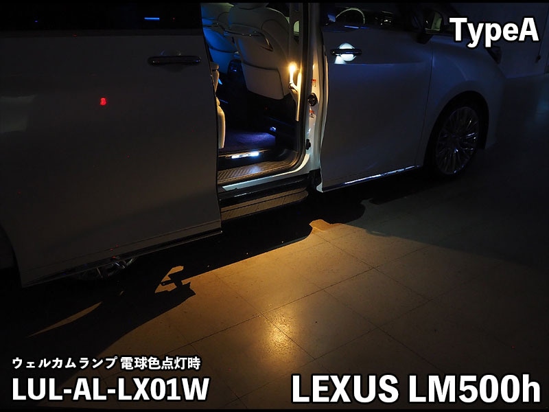 LEDIST ウェルカムランプ typeA for LEXUS LM500h VerL【LUL-A#-LX01#】