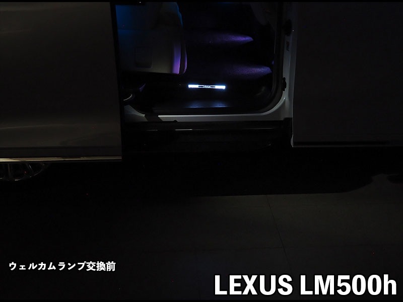 LEDIST ウェルカムランプ typeA for LEXUS LM500h VerL【LUL-A#-LX01#】