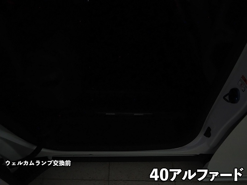LEDIST ウェルカムランプ typeA for 40アルファード/ヴェルファイア