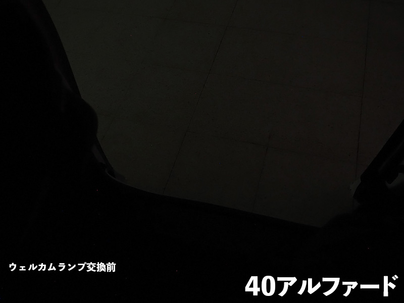 LEDIST ウェルカムランプ typeA for 40アルファード/ヴェルファイア