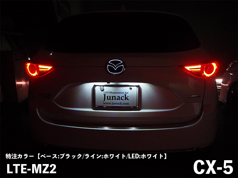 LEDトランスエンブレム 【LTE-MZ2】