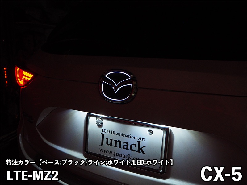 LEDトランスエンブレム 【LTE-MZ2】